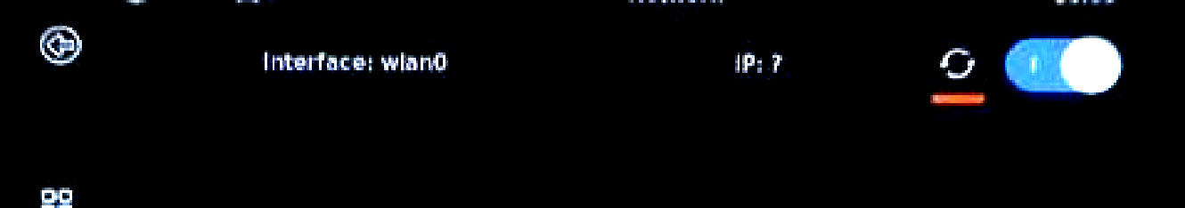 Original manual screenshot of the network screen before an IP address appears